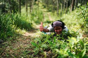 BIB: 
                            <button type="button" onclick="openModal(26293488)" class="btn btn-primary btn-sm float-right btn-popup" data-toggle="modal" data-target=".modal-high-quality">
                        <i class="fas fa-shopping-cart"></i> Add to Cart
                    </button>
                                            <button type="button" onclick="isThisMe(26293488, true)" class="btn btn-success btn-sm float-right btn-popup btn-isme hidden" data-toggle="tooltip" data-placement="bottom" title="นี่คือรูปของคุณใช่ไหม คลิกที่นี่เพื่อเอาเข้าอัลบั้ม">
                        <i class="fas fa-plus"></i> Add to album
                    </button>
                    <button type="button" onclick="isThisMe(26293488, false)" class="btn btn-warning btn-sm float-right btn-popup btn-isnotme hidden">
                        <i class="fas fa-ban"></i> Remove from album
                    </button>